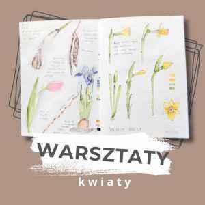 warsztaty akwareli Kraków